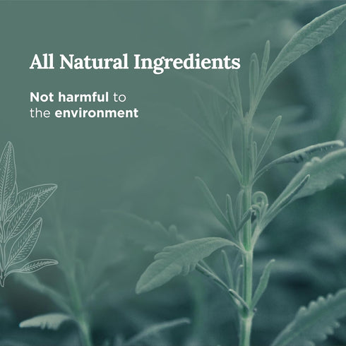 Magnificent 101 Long Lasting Sage + Eucalyptus Scented Smudge Candle - 6 Oz, 35 Hour Burn, Soy Wax