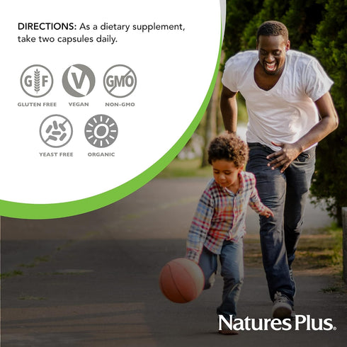 Natures Plus Source of Life Garden Certified Organic B Complex - 60 Vegan Capsules - Energy Booster