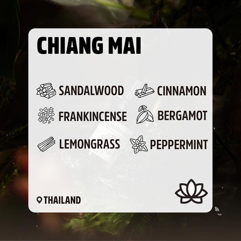 Essential Oils Set Chiang Mai Series Set of 6-100% Pure Oils kit Cinnamon, Sandalwood, Frankincense, Peppermint, Lemongrass, Bergamot 10ML Suitable for Candle Making, Fresh fragrances Diffuser