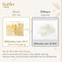 DrDirt Multifold Paper Towels - 2-Ply, 110 Sheets per Pack, 5 Packs with 1 Wall-Mounted Dispenser