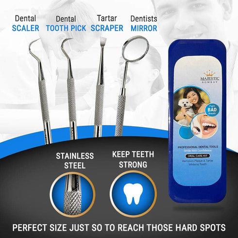 Dental Hygiene Tool Set, Stainless Steel Dental Kit with Tooth Pick, Mouth Mirror, Tarter Scraper, and Protective Case