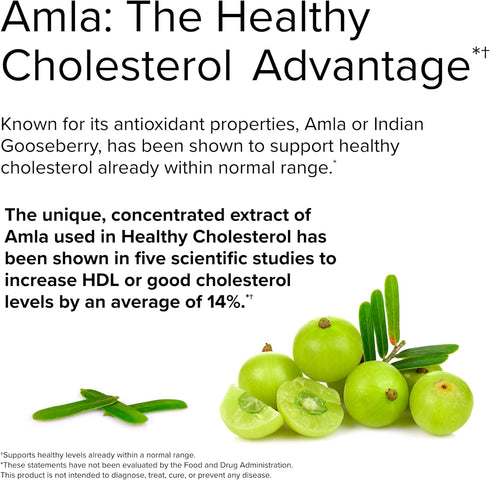 Terry Naturally Healthy Cholesterol with Amla, 60 Capsules, Supports Healthy Triglyceride Levels