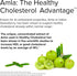 Terry Naturally Healthy Cholesterol with Amla, 60 Capsules, Supports Healthy Triglyceride Levels