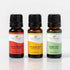 Plant Therapy Wellness Sampler Essential Oil Set, 100% Pure Oils: Germ Fighter, Immune Aid & Respir Aid