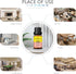 Candy Corn Fragrance Oil, 10ml, Premium Grade Scented Oil for Aroma Diffusers, Candle, and Soap Making