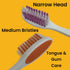 4 Pack Comfort Hold Travel Toothbrush, Folding Medium Bristle Brushes, Compact Size, TSA Approved