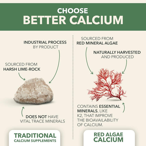 PlantFusion Vegan Calcium, Premium Plant Based Calcium (1000mg) with Magnesium, D3, K2, Boron, 90 Vegan Tablets