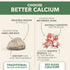 PlantFusion Vegan Calcium, Premium Plant Based Calcium (1000mg) with Magnesium, D3, K2, Boron, 90 Vegan Tablets