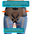 Pelvic Support Belt Uterus Support Belt Women's Brace for Treating Dropped Bladder, Uterine Prolapse, Vulvar