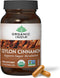 ORGANIC INDIA Cinnamon Supplement, 90 Veg Caps - Nutritional Support for Blood Sugar Metabolism