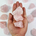 Rose Quartz Crystals, Raw Crystals Bulk, Tumbled Stones and Crystals, Rock Collection, Healing Crystals (1LB)