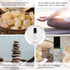 Ellia Frankincense Essential Oil Roll-On, 10ml, 100% Pure, Therapeutic Grade, Clear