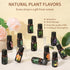 LEHOYIANG 6 Set 10mL Essential Oils for Diffusers,Home Care,Candle Making Scents, Fragrance,Diffuser Oil Scents,Top