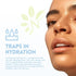 Natural Tone Organic Skincare Hydrating Sunless Tanner - Easy to Apply Self Tanner for Face and Body, 6 fl oz