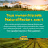 Natural Factors Alpha-Lipoic Acid 400 mg, Whole Body Antioxidant Support, 60 Capsules