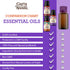 GuruNanda Sleep Essential Oil Set (Pack of 3 x 0.34 Fl Oz) - Pure Cedarwood, Frankincense & Lavender Oils