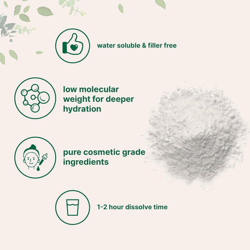 Micro Ingredients Hyaluronic Acid Serum Powder, 100 Grams | Low Molecular Weight, Vegan, Water Soluble