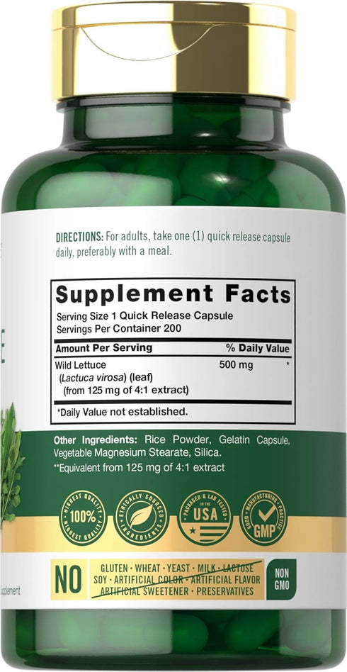 Carlyle Wild Lettuce Extract 500mg | 200 Capsules | Non-GMO, Gluten Free Supplement