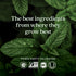 New Chapter Iron Supplement - Whole-Food Fermented Iron Complex with Organic Vegetables & Herbs, Non-Constipating Dose,