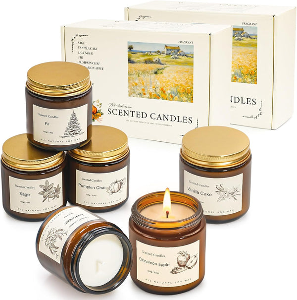 Scented Candles Gift Set for Home, 12 Pack Aromatherapy Soy Candles, 6
