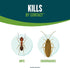 Ecologic Home Insect Control, 64 Fl Oz RTU Spray for Cockroaches, Ants, Spiders, Safe for Kids & Pets