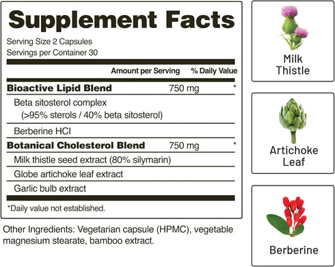 Snap Supplements Cholesterol Health - 60 Capsules, Support Healthy Cholesterol Levels and Heart Health