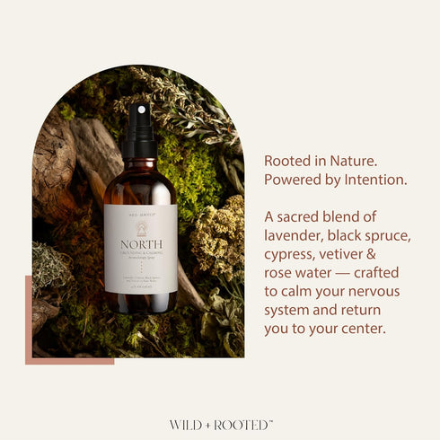 Wild + Rooted 4oz North Aromatherapy Room & Body Spray | Grounding & Calming Essential Oil Mist | Lavender, Cypress