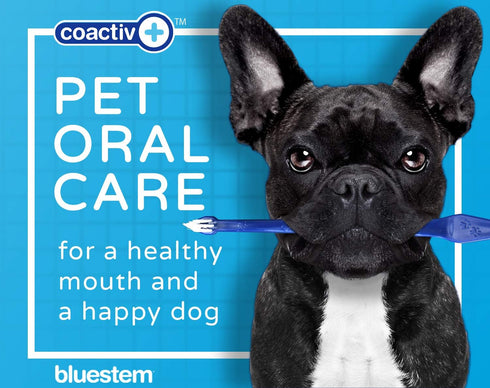 Bluestem Pet Toothbrush Set - 2 Double-Sided Dog and Cat Tooth Brushes for Gentle Teeth Cleaning