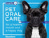 Bluestem Pet Toothbrush Set - 2 Double-Sided Dog and Cat Tooth Brushes for Gentle Teeth Cleaning