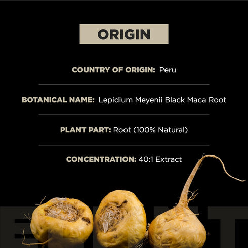 ELMNT Organic Black Maca Root 40,000mg - 60 Pills with Ashwagandha, Highest Potency Maca Capsules for Men