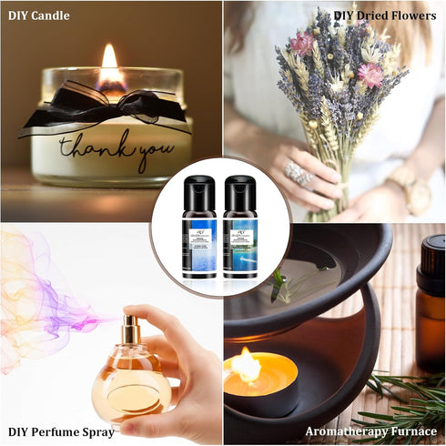 Essential Oils Reborn Aroma Oils Gift Set for Aromatherapy Diffuser, 6 Bottles, 15 ML