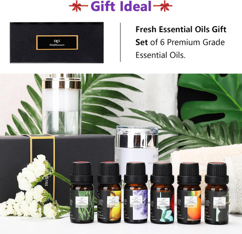 Refresh Essential Oil Set, 6x10ml Aromatherapy Oils for Air Purifier, Diffuser, Humidifier, DIY Candle