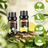 Set 32x5ml Essential Oils - Pure Aromatherapy Essential Oils Kit for Diffuser, Humidifier, Aromatherapy, Massage, Skin