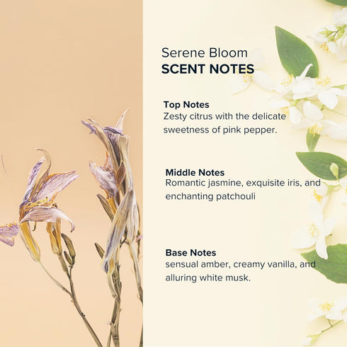ANTHOLOGY Serene Bloom Roll on Perfume Oil for Women 0.3oz - Alcohol Free, Travel Size