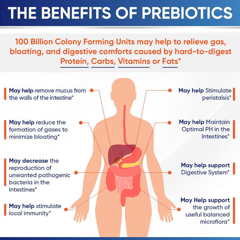 Wholesome Wellness Organic Raw Probiotics 100 Billion CFU, 30 Capsules, Complete Adult Supplement with Prebiotics