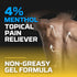 External Pain Relief Gel with Arnica for Muscle, Back & Joint Pain, 6 Ounce (Pack of 3)
