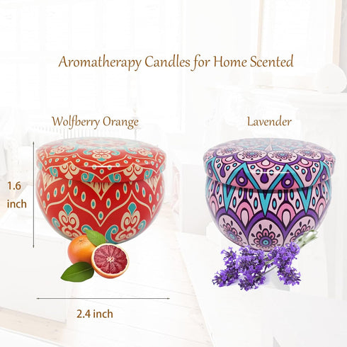 YouLain Set 2.5 Oz 2 Pack Scented Candles Gift - Aromatherapy Candle for Home, Portable Hotel Small Candles, Natural