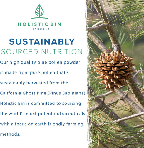Organic Pine Pollen Powder, Wild Harvested, Golden California Pine Pollen, Non-GMO, 20 g Pure Supplement