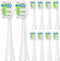 Proflex 10 Pack Replacement Brush Heads Compatible with AquaSonic Black Series, Vibe Series, Duo Series Pro (White)