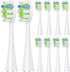 Proflex 10 Pack Replacement Brush Heads Compatible with AquaSonic Black Series, Vibe Series, Duo Series Pro (White)