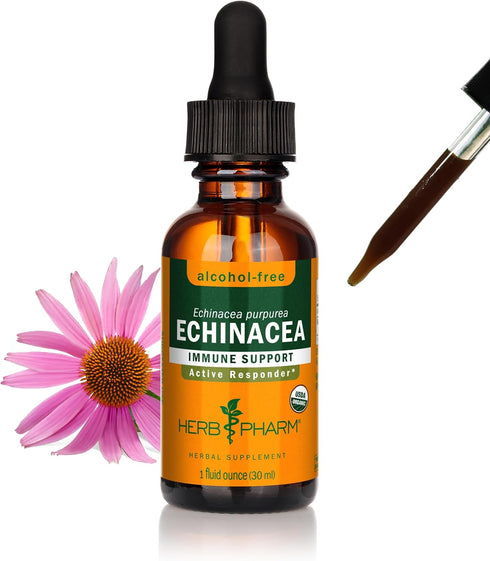 Herb Pharm Organic Echinacea Root Extract, 1 Oz, Alcohol-Free Immune System Support, Non-GMO, Vegan & Gluten-Free
