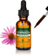 Herb Pharm Organic Echinacea Root Extract, 1 Oz, Alcohol-Free Immune System Support, Non-GMO, Vegan & Gluten-Free