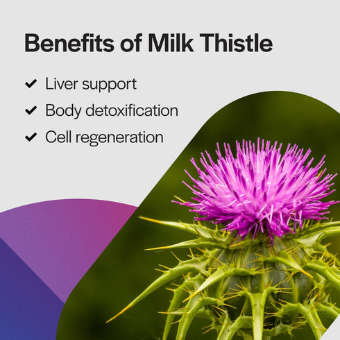 PureFormulas Milk Thistle Supreme - 250 mg Per Capsule, Liver Health Support, Non-GMO & Vegetarian, 60 Capsules