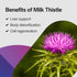 PureFormulas Milk Thistle Supreme - 250 mg Per Capsule, Liver Health Support, Non-GMO & Vegetarian, 60 Capsules