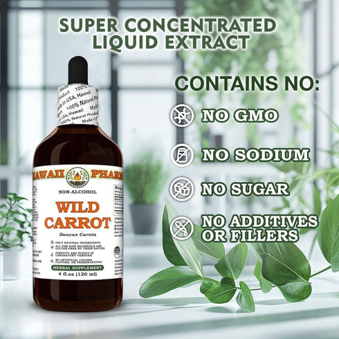 Hawaii Pharm 2 fl.oz Wild Carrot (Daucus Carota) Dry Seed Glycerite, All Natural, Vegan, Lab Tested Alcohol-Free Liquid