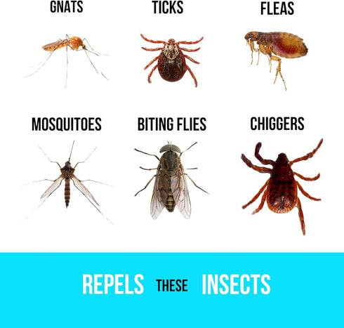 BUGGINS IV Performance Insect Repellent, 25% DEET for Mosquitoes, Gnats, Ticks, 6 oz Continuous Spray Can