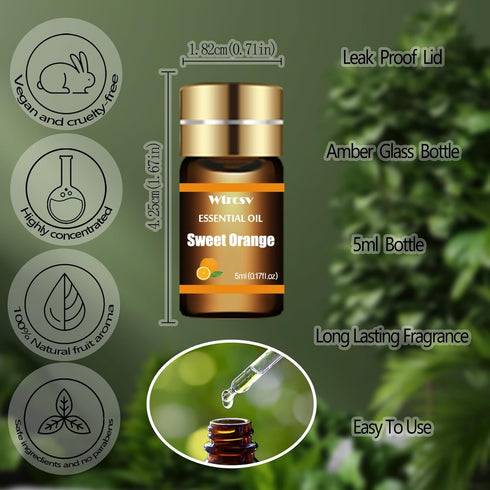 Set 15 Set (5ml) Essential Oils - Top Scents for Diffuser, Humidifier, Skin Care, Aromatherapy, Massage, Candle & Soap