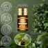 Set 15 Set (5ml) Essential Oils - Top Scents for Diffuser, Humidifier, Skin Care, Aromatherapy, Massage, Candle & Soap