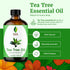 SVA Tea Tree Essential Oil 4 Fl Oz, 100% Natural for Diffuser, Hair Care, Skin Care, Aromatherapy