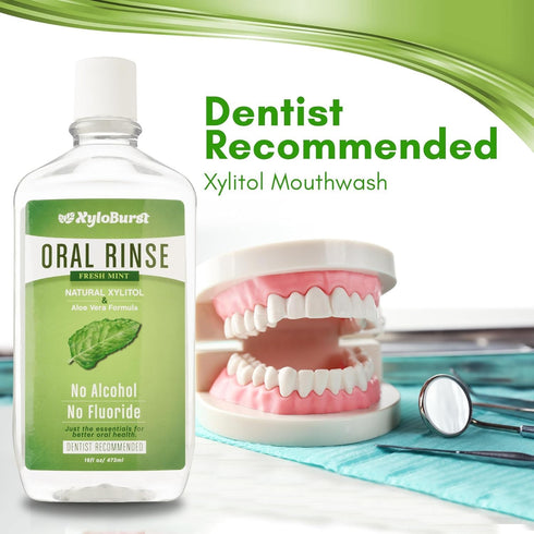 XyloBurst Fresh Breath Oral Rinse Mouth Wash, Alcohol-Free, Fluoride Free, SLS Free, Cool Mint (3 Pack 16 Ounce)